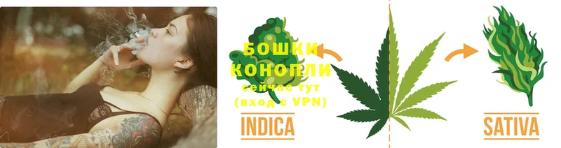 Бошки Шишки SATIVA & INDICA  дарнет шоп  Полярный 